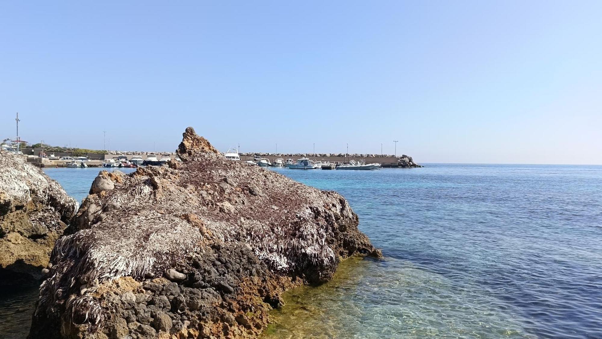 La Terrazza Sul Mare Camera Vicino Aereoporto&Mare Sicilian Vintage Style Seaside Room شينيسي المظهر الخارجي الصورة